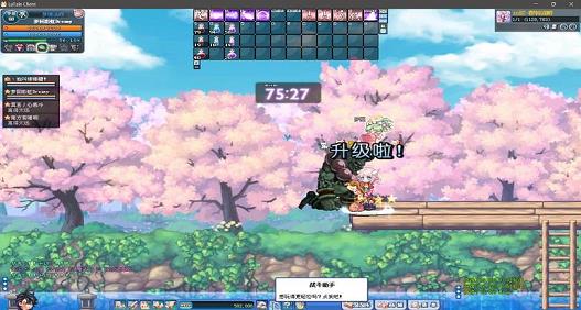 彩虹岛风行用什么武器强(风行刺客是什么职业转的)